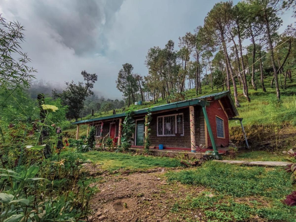 Zenoaks Homestay アルモラ エクステリア 写真
