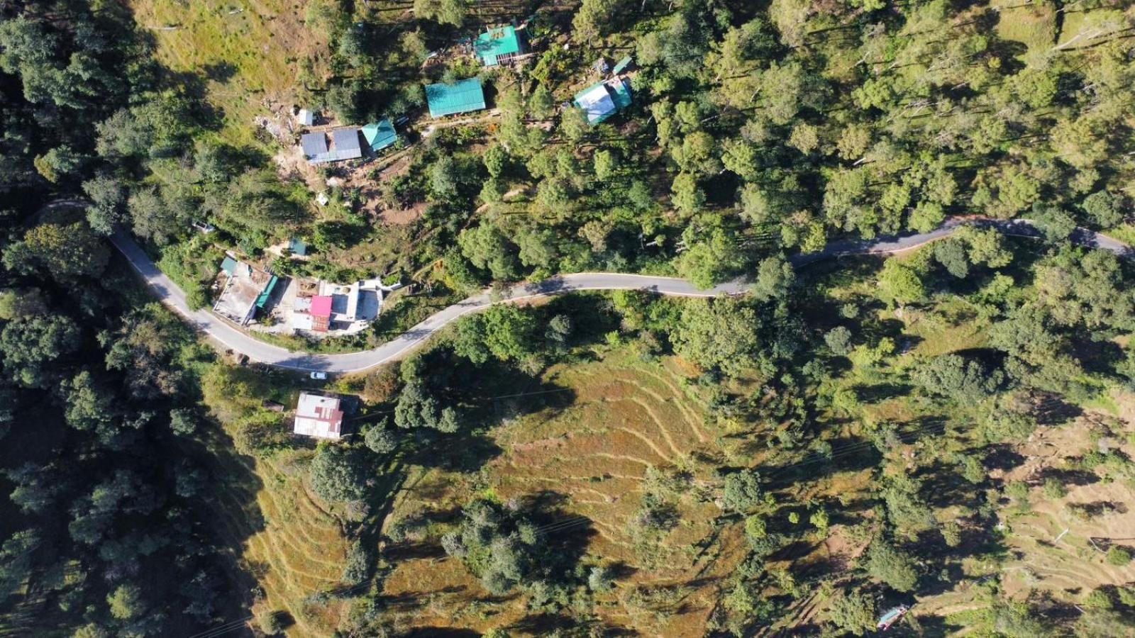 Zenoaks Homestay アルモラ エクステリア 写真