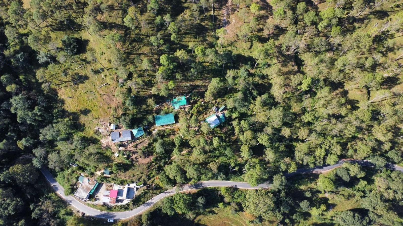 Zenoaks Homestay アルモラ エクステリア 写真