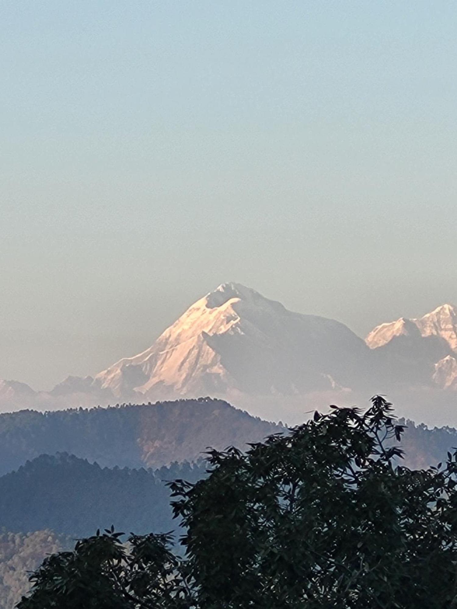 Zenoaks Homestay アルモラ エクステリア 写真